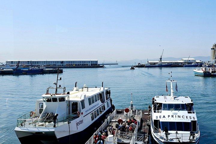 ロベン島フェリーチケット＆ガイド付き刑務所ツアー（送迎付き）
