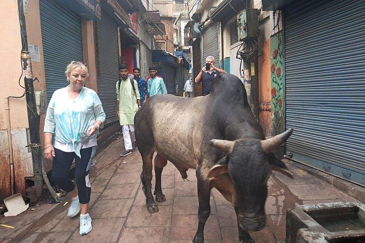 Two days admirable tour of Varanasi