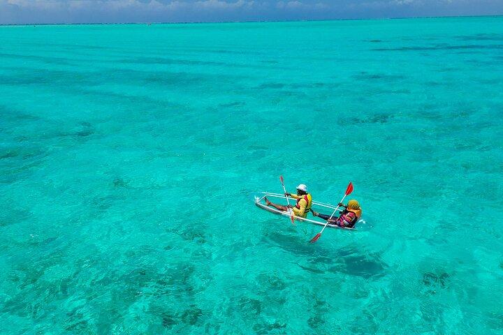 Privado/Compartiendo : Explora la isla Mnemba con un dhow
