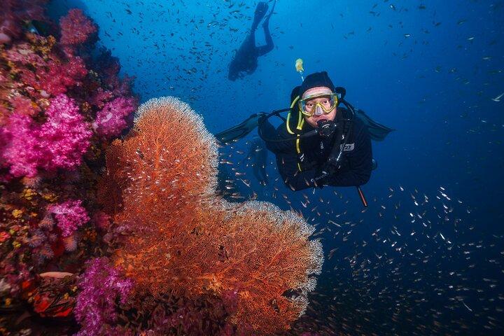 Excursión de buceo de 2 días y 1 noche en un crucero de buceo desde Khao Lak
