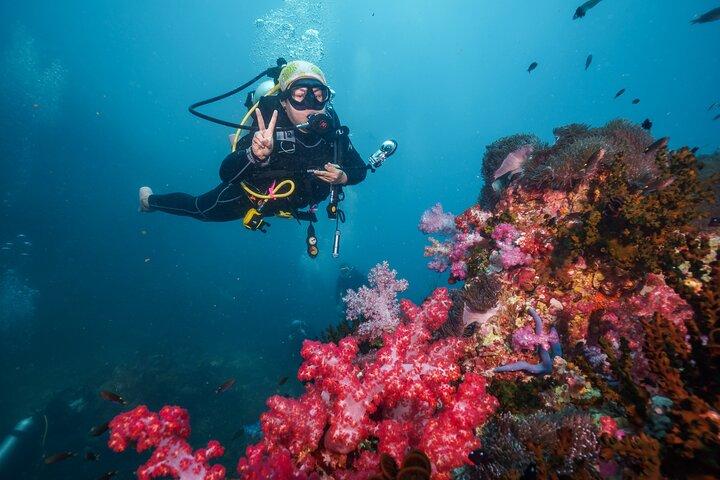 Scuba Liveaboard 2 Days 1 Night Dive Trip from Khao Lak