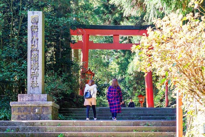 Mt Fuji Hakone Tour från Tokyo : Linbana och kryssningsalternativ