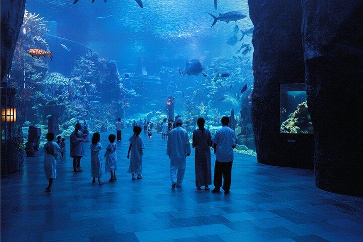 ドバイ水族館＆水中動物園入場券
