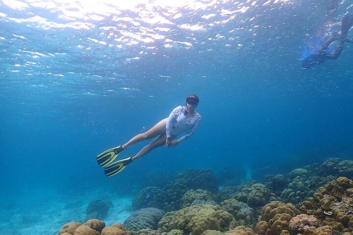 Liveaboard Snorkeling Similan 2 Days 1 Night from Khao Lak