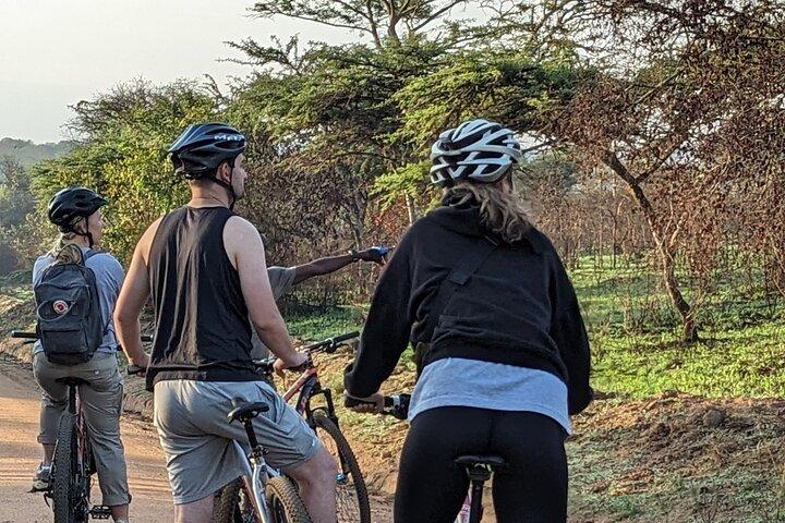 Safari Privado no Lago Mburo