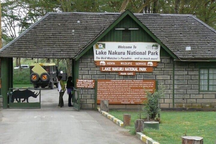 Lake Nakuru National Park Day Trip From Nairobi