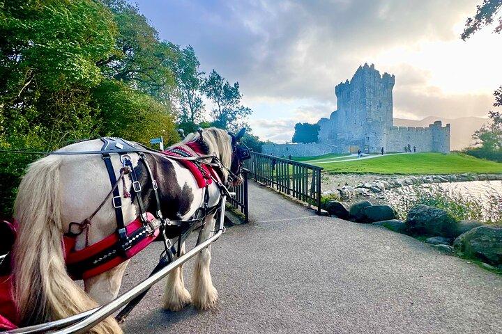 Visite en voiture de Killarney Jaunting