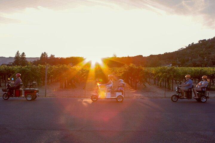 Sonoma al tramonto - Tour elettrico all inclusive di Wine & Dine