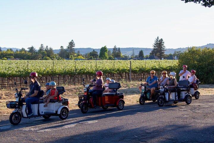 Sonoma al tramonto - Tour elettrico all inclusive di Wine & Dine