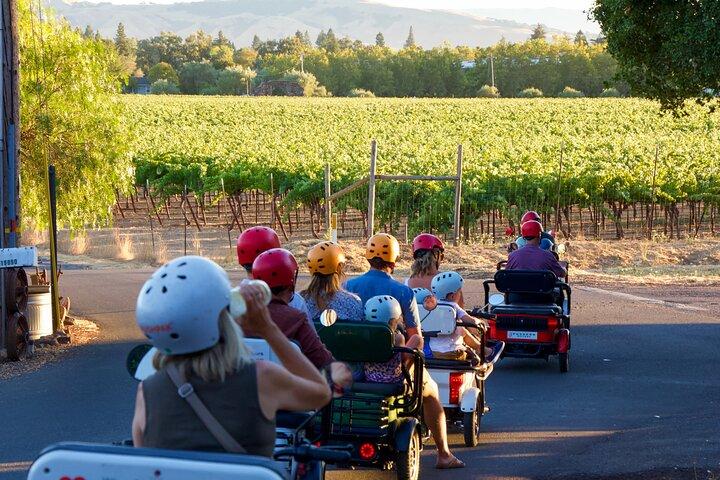 Sonoma al tramonto - Tour elettrico all inclusive di Wine & Dine