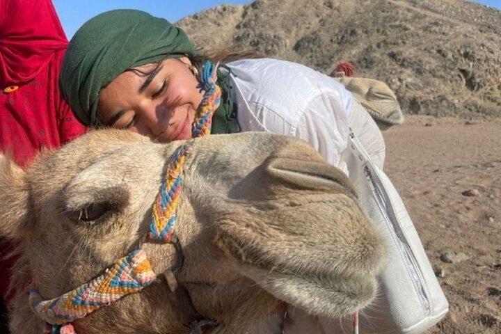 マラケシュ砂漠アガファイクワッドバイク、キャメルライドサンセット、ディナーショー