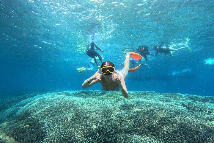 Fra Bali: Nusa Penida fuld dagstur og snorkling