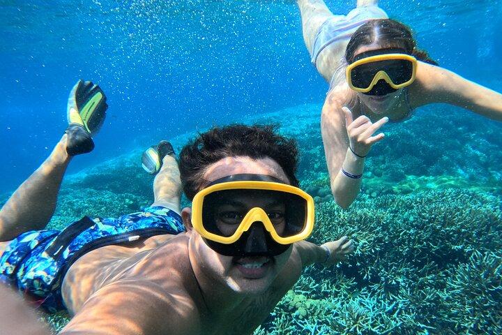 Fra Bali: Nusa Penida fuld dagstur og snorkling