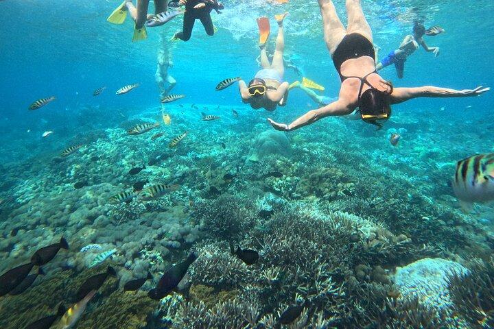 Fra Bali: Nusa Penida fuld dagstur og snorkling