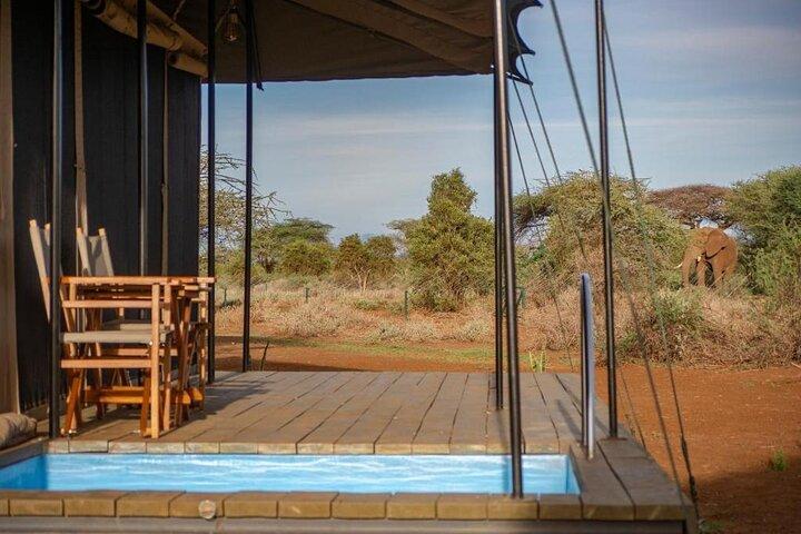 3-daagse Amboseli National Park - Groepssafari