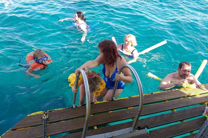 Atlantis Turtle Watching Cruise & Snorkelling Adventure