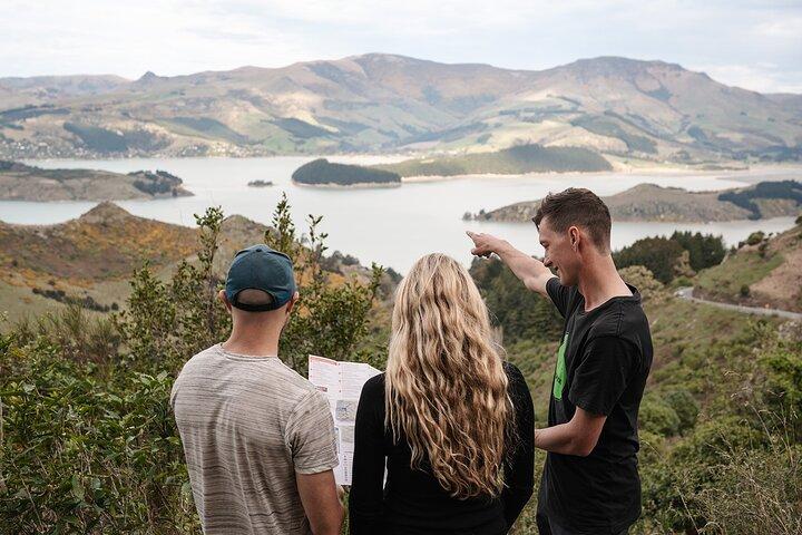 Christchurch Highlights Tour (heldags privat)