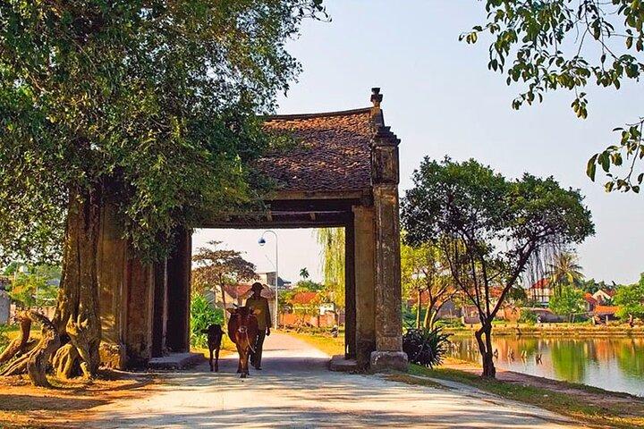 Duong Lam Ancient Village og Thay Pagoda Day Trip
