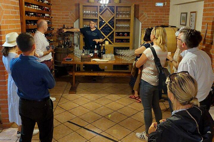 Pelješac Weintour ab Dubrovnik : Probieren Sie das Beste
