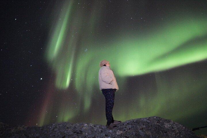 Tour di caccia all'aurora di Yellowknife in autobus