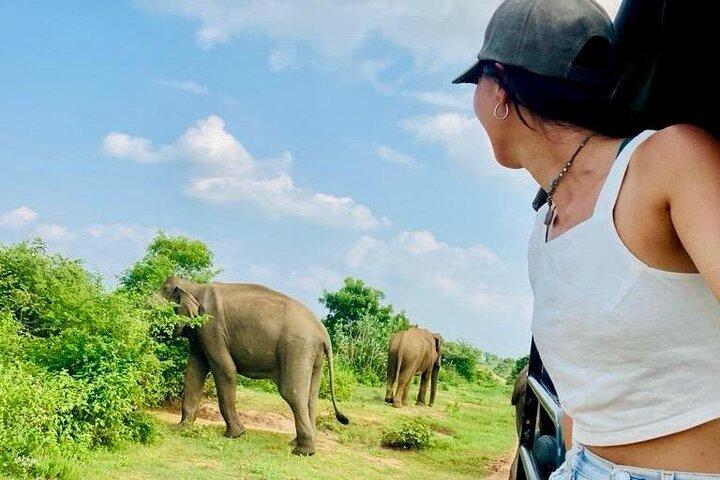 Udawalawe National Park Safari with Experienced Driver