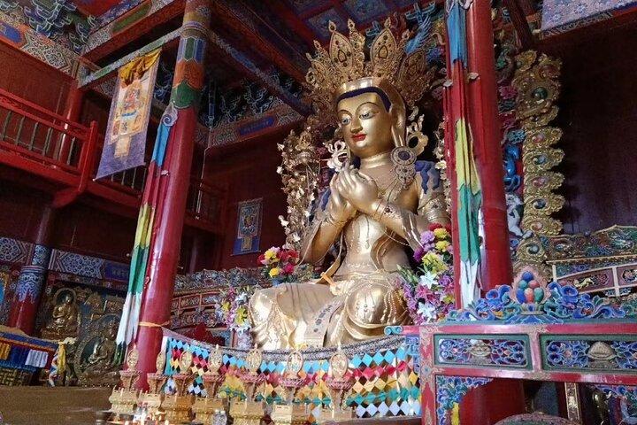 Visita guiada privada de día completo en Hohhot con almuerzo