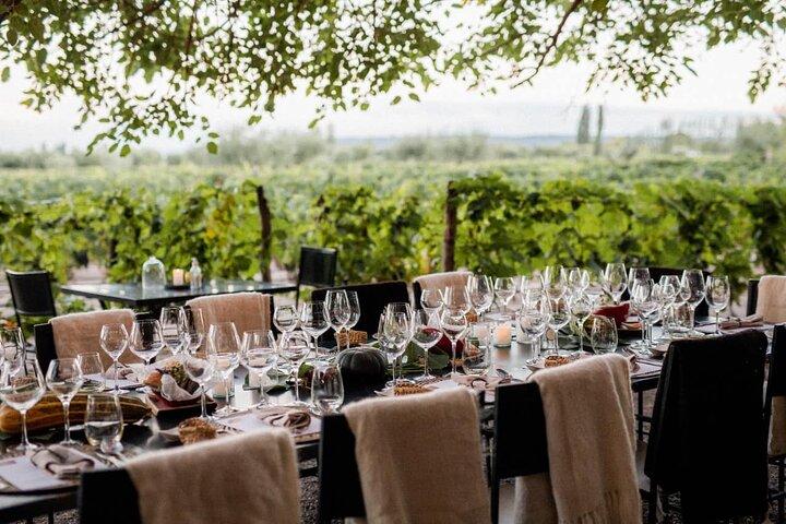 Huarpe Winery Experience & Lunch bij Lagarde. Privé transfer