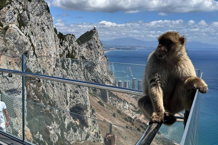 Privattour nach Gibraltar ab Marbella