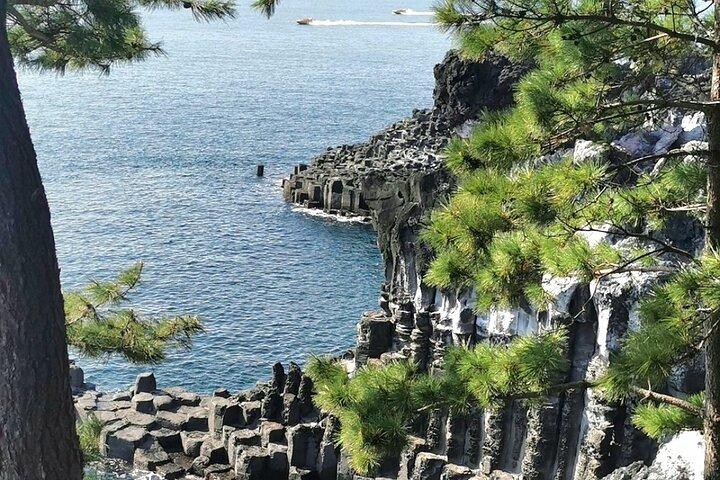 Jeju Cruise Ship Gangjung Port PRIVATE Tour für alle Gruppengrößen