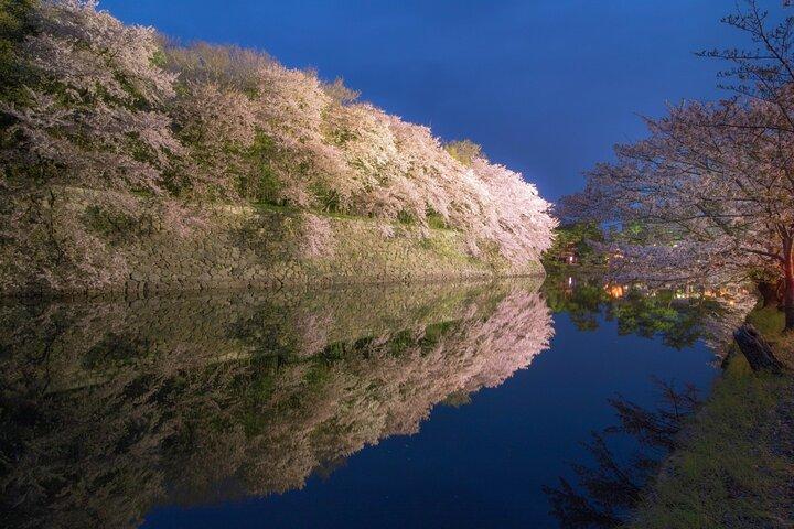 京都から歴史ある城下町彦根を散策