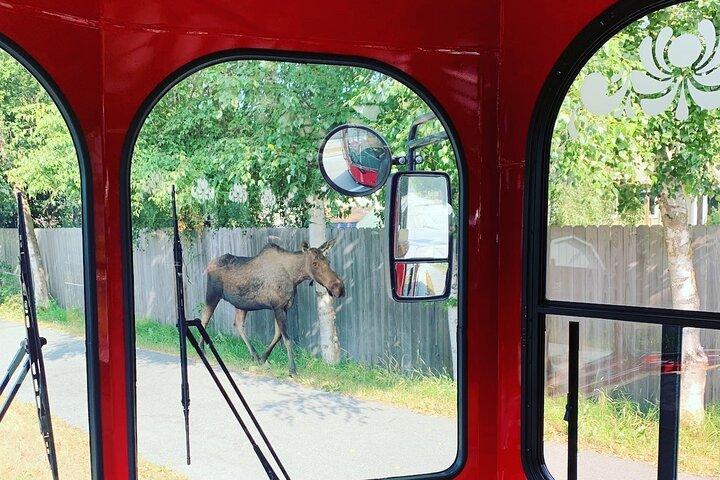 Anchorage Trolley's Deluxe stadstour