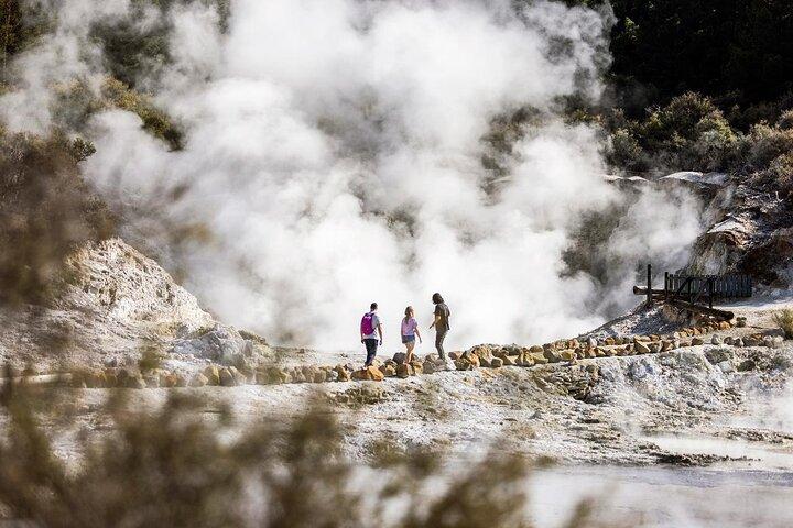 Mud Spa & Nature: Auckland to HELL's GATE, Rotorua & Blue Springs