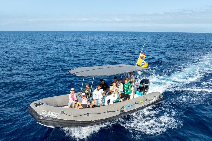 Eco-aventure d'observation des baleines de Costa Adeje