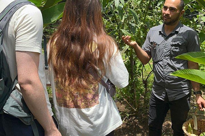 Farm to Table Cooking Class