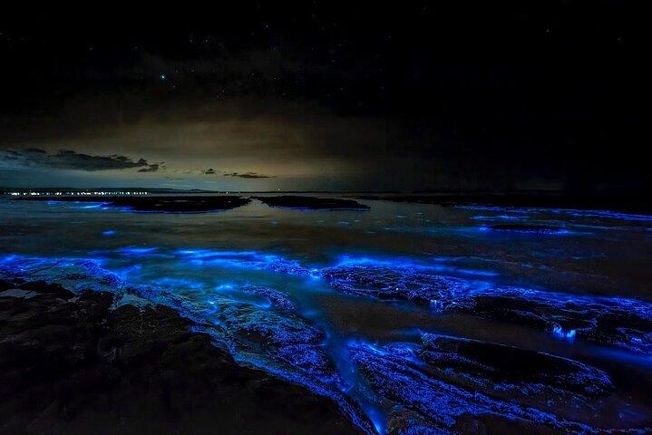 Tour notturno della baia bioluminescente di Cayman