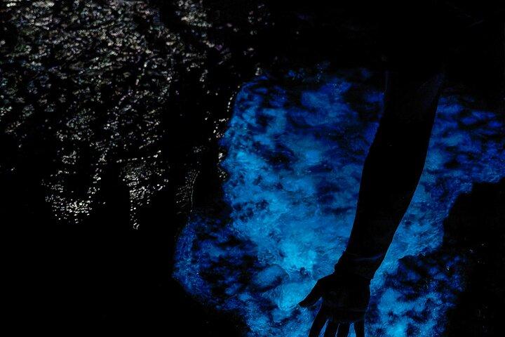Grand Cayman Bioluminescent Bay Tour