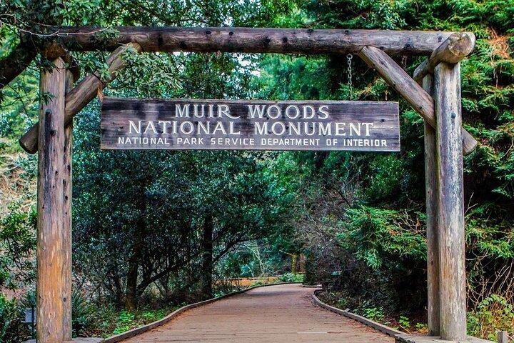 Von SF – Tagesausflug nach Muir Woods, zur Golden Gate Bridge und nach Sausalito