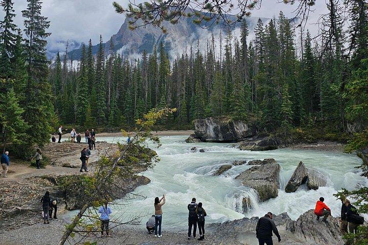 Full Day Private Tour Banff/Yoho Moraine Customized Sightseeing