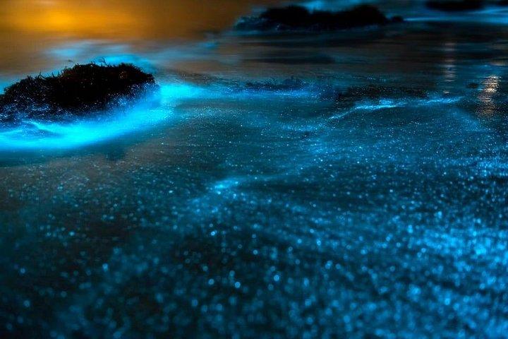 クラビからのホン諸島サンセットと生物発光ボートツアー