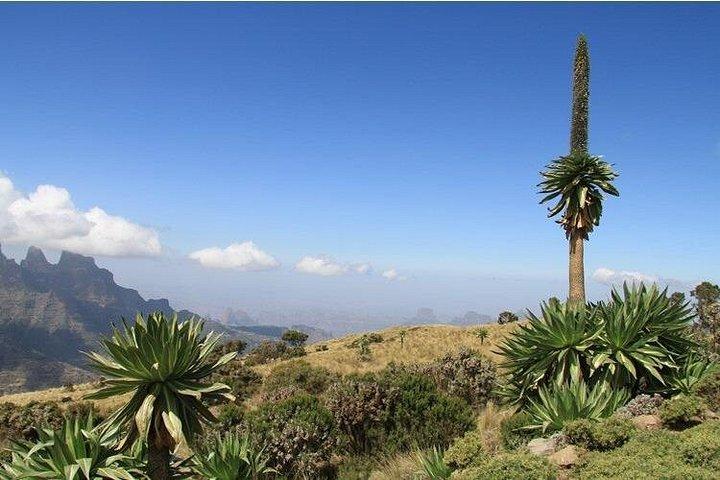 4 Day Adventure Tour in Simien Mountains