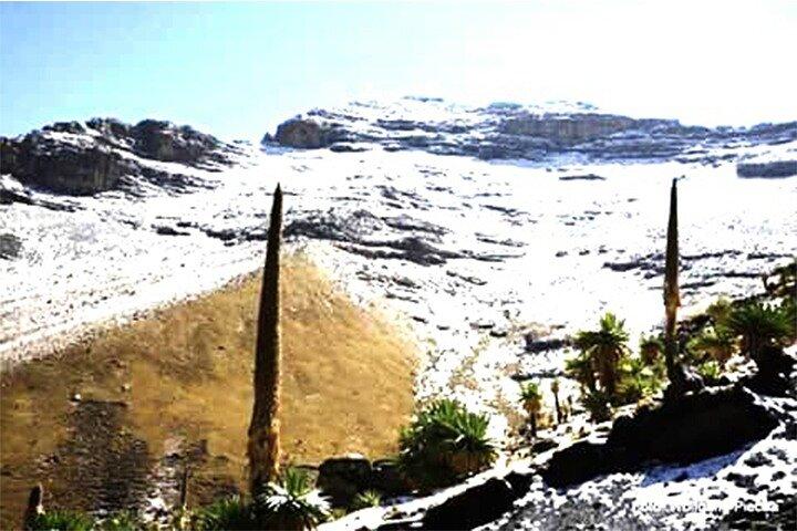4-tägige Abenteuertour in Simien