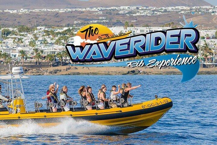 Dolfijnen kijken en zwemmen in Papagayo Beach Lanzarote