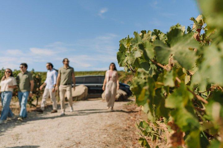 Half Day Wine Tour Around Evora