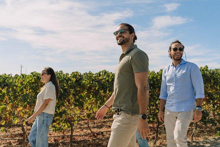 Half Day Wine Tour Around Evora