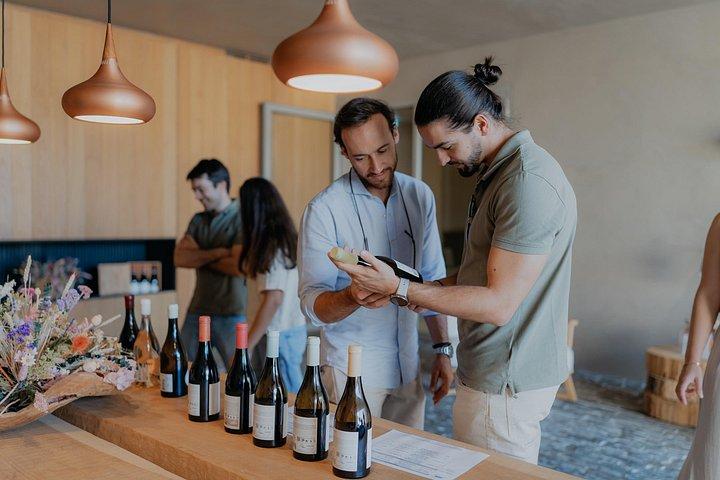 1 Day Wine Tour Around Évora