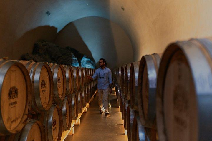 Half Day Wine Tour Around Evora