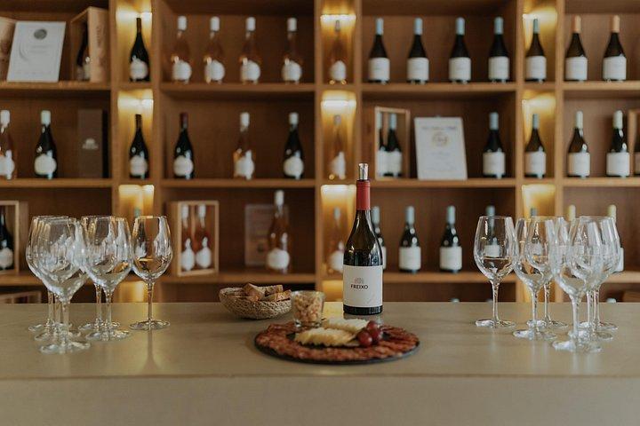 1 Day Wine Tour Around Évora