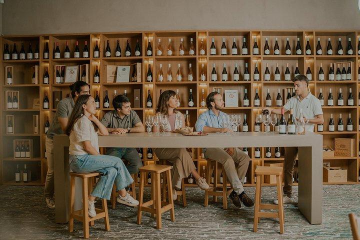 1 Day Wine Tour Around Évora