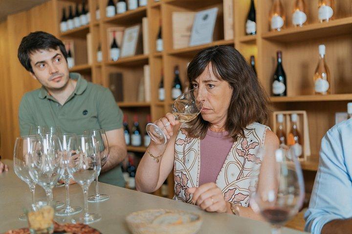 Half Day Wine Tour Around Evora