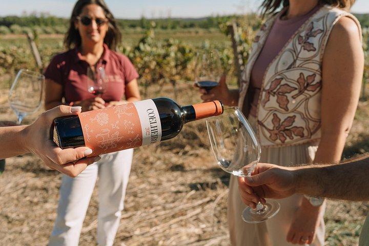 Half Day Wine Tour Around Evora